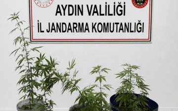 Kuşadası Uyuşturucu Operasyonu
