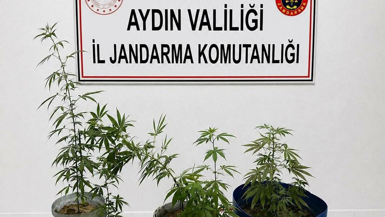 Kuşadası Uyuşturucu Operasyonu