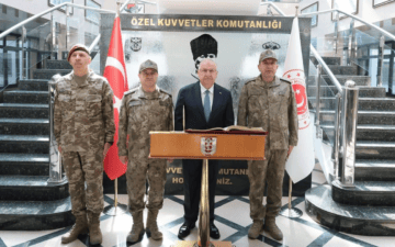 Bordo Bereliler
