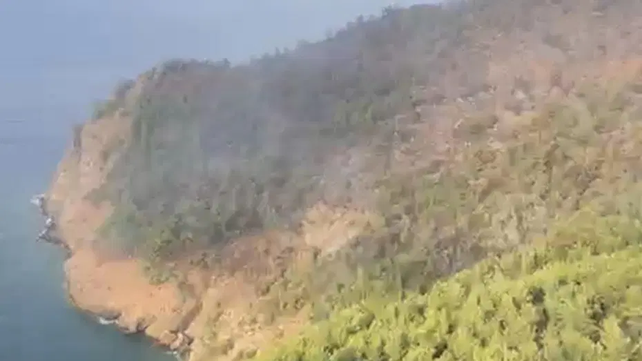 Muğla Orman Yangını