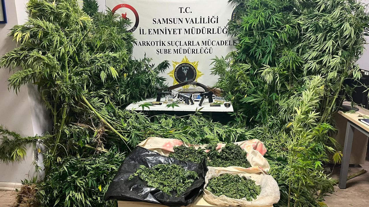 Kenevir Operasyonu