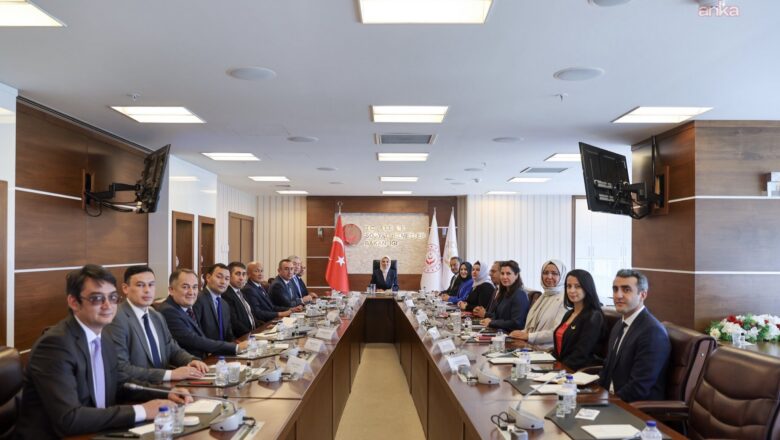 Türk Devletleri Teşkilatı