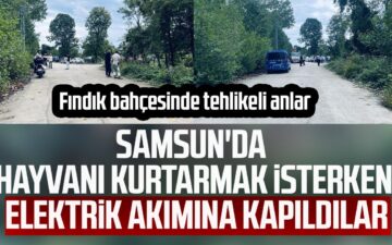 elektrik akımı