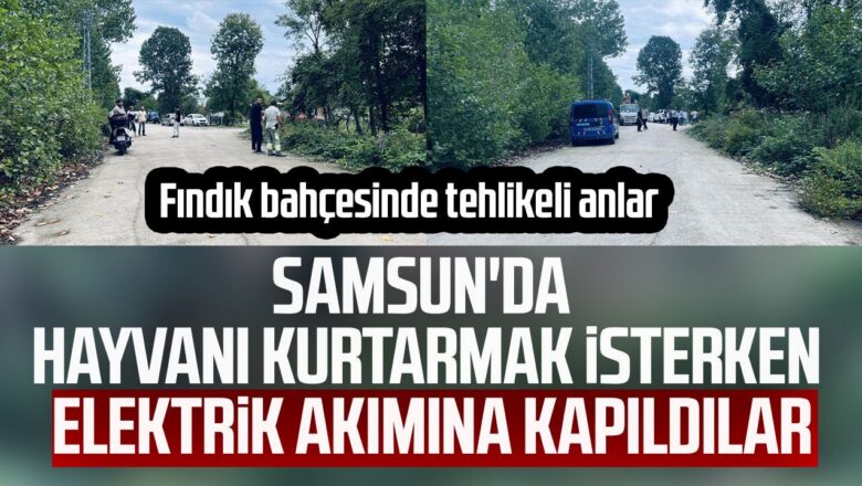 elektrik akımı