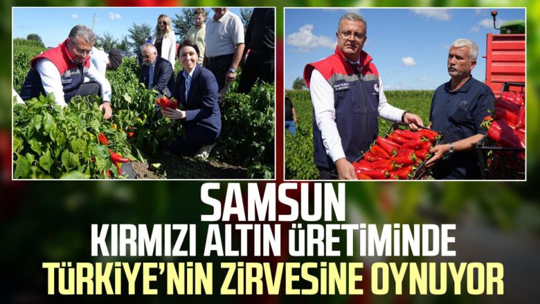 kapya biber