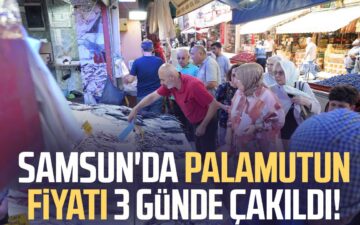 Palamut Fiyatı