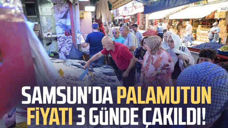 Palamut Fiyatı
