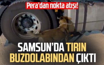 456 gram yasaklı madde