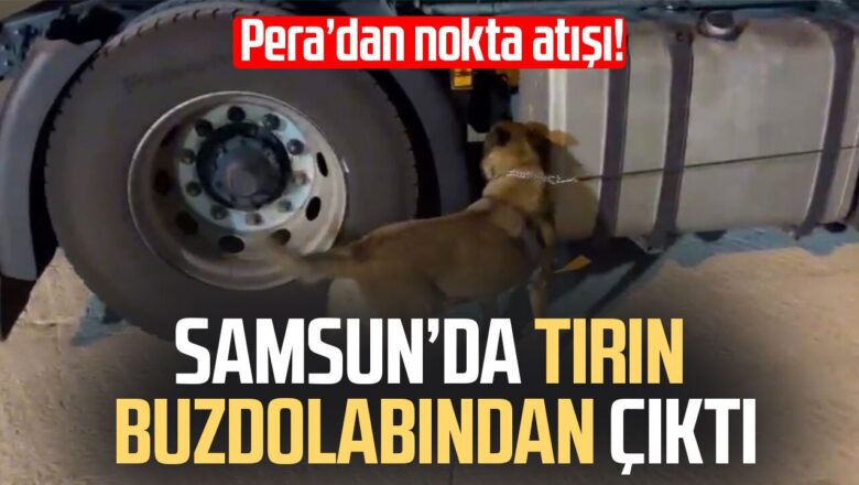 456 gram yasaklı madde