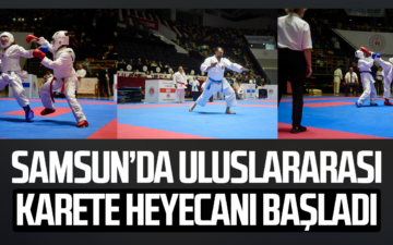 Karate Şampiyonası