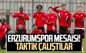 Erzurumspor