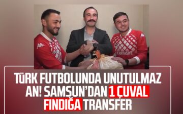 fındık transferi