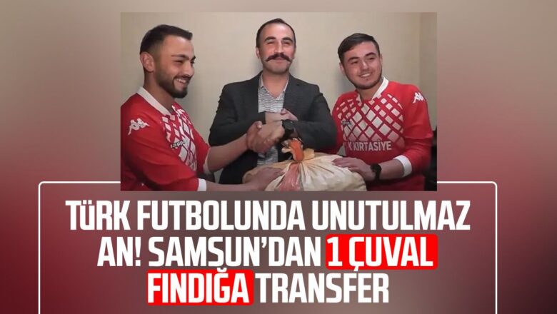 fındık transferi